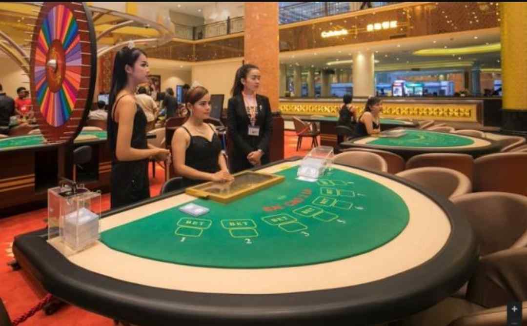 Những game tạo nên sức hút của Venus casino